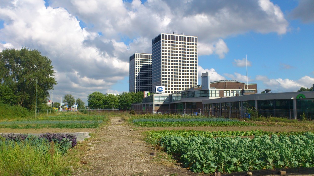 Uit je eigen stad, voedseltuinen foto: M. Nefs
